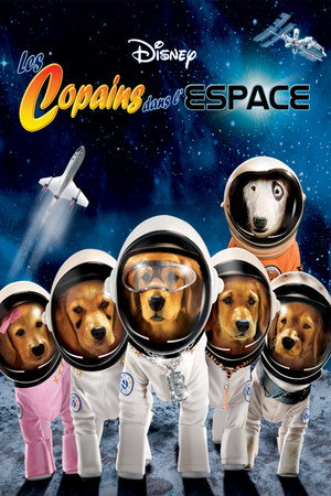 Les Copains dans l'espace streaming