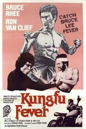 Poster Kung Fu Fever (1979)