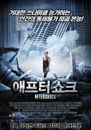 애프터 쇼크 2012