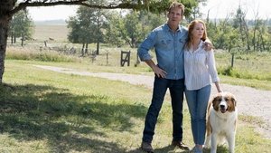 La razón de estar contigo 2: Un nuevo viaje
