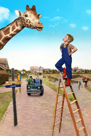 My Giraffe 20