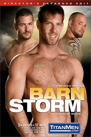 Poster Barnstorm (2007)