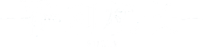 Sully — Logos 9