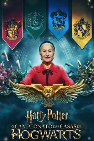 Poster Harry Potter: Hogwarts Tournament of Houses 2021