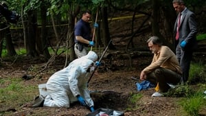 The Sinner Temporada 1 Capitulo 5