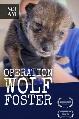 Operation Wolf Foster (2026)