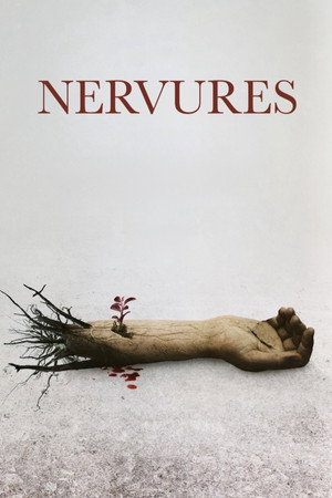Veins 8