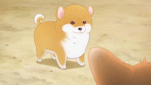 The Corgi and the Samurai: 1×14