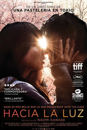 Radiance 19