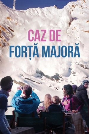 Image Caz de forță majoră