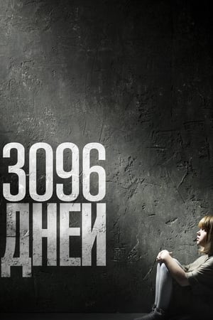 3096 дней 2013