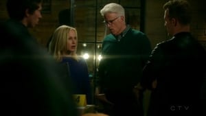 CSI: Cyber: Stagione 2 x Episodio 15