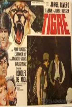 Poster Tigre (1979)