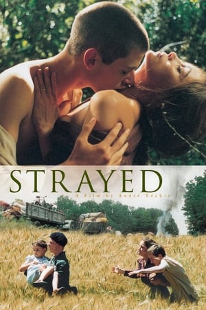 Strayed poster