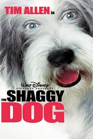 The Shaggy Dog (2006) | Team Personality Map