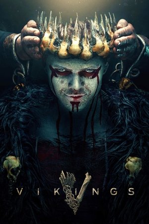 Vikings (2016) Hindi Season 4 Complete