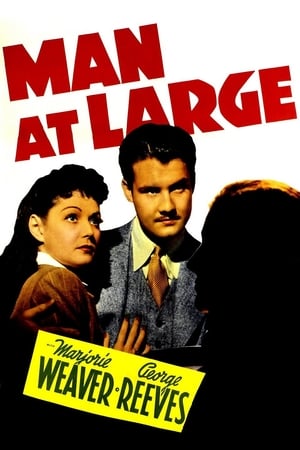 Poster Man at Large (1941)