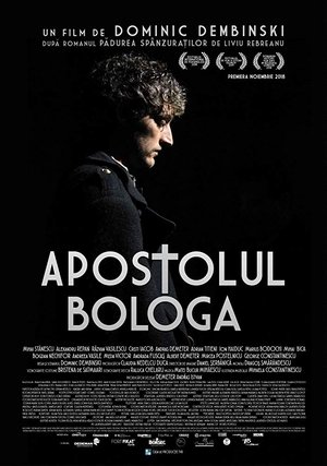 Poster Apostolul Bologa (2018)