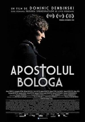 Image Apostolul Bologa