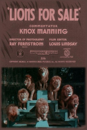 Lions for Sale