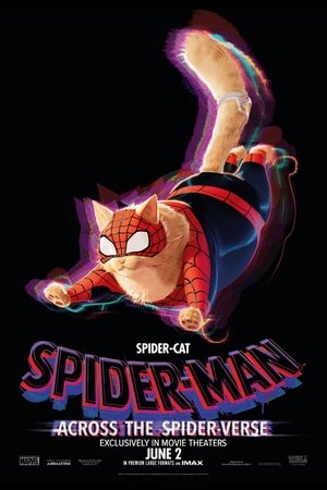 poster Spider-Man: Across the Spider-Verse