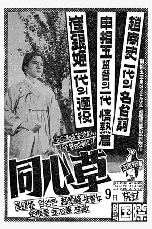 Poster Dongsimcho (1959)