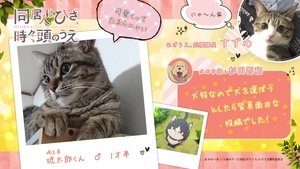 My Roommate is a Cat Season 1 Episode 9