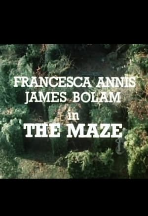 Poster The Maze 1983