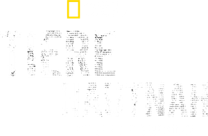 Animals Up Close with Bertie Gregory — Logos 2