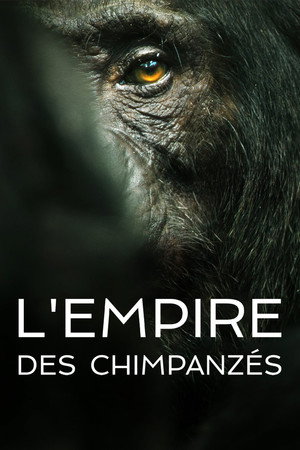 Chimp Empire 16