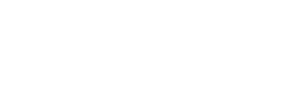 Animal Airport