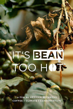 It’s Bean Too Hot