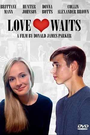 Poster Love Waits (2015)