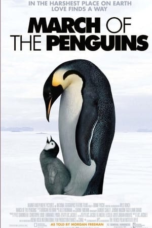 National Geographic Penguin Death Zone
