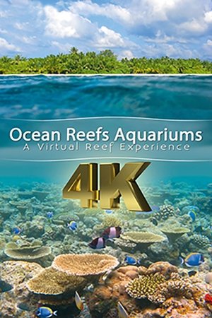 Nonton film Ocean reefs aquariums (a vitual experience) (1970) terbaru sub indo Nonton film Ocean reefs aquariums (a vitual experience) (1970) terbaru sub indo