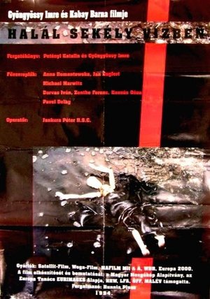<Images posters