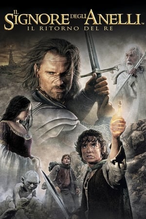 Il Signore degli Anelli - Il ritorno del re (2003)