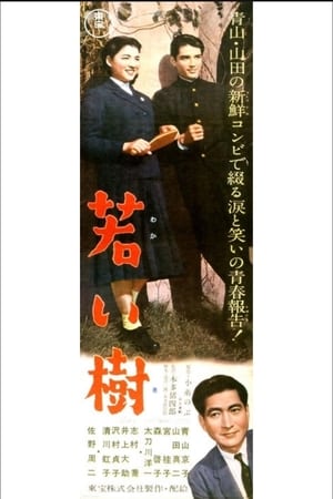 Poster 若い樹 1956