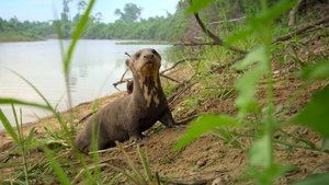 Animales a lo grande Temporada 1 Capitulo 3