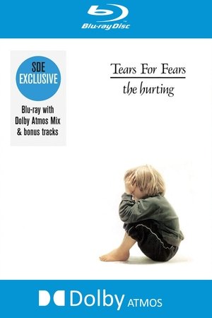 Affiche de Tears For Fears - The Hurting