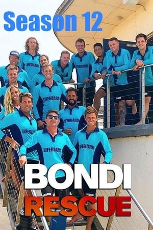 Bondi Rescue: Season 12