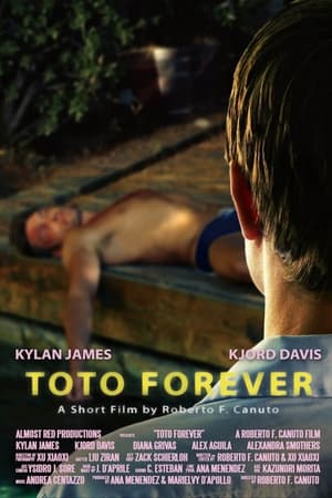 Poster Toto Forever 2010