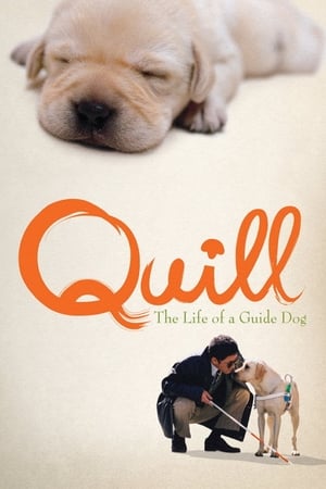 Poster Quill: The Life of a Guide Dog 2004