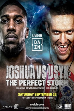 Anthony Joshua vs. Oleksandr Usyk 4