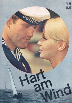 Hart am Wind poster