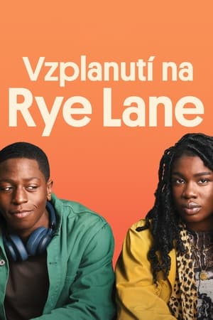 Poster Vzplanutí na Rye Lane 2023