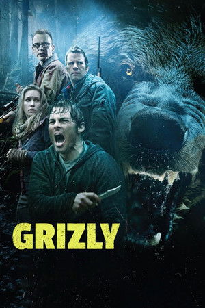 Image Grizly