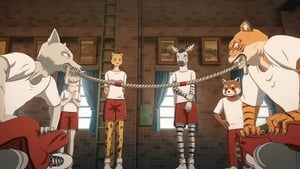 BEASTARS – O Lobo Bom: 2×6