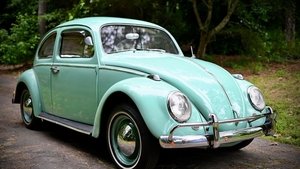 The Curse of the Necklace (2024) สร้อยคอต้องคำสาป