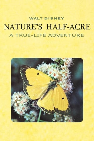 Poster Nature's Half Acre 1951
